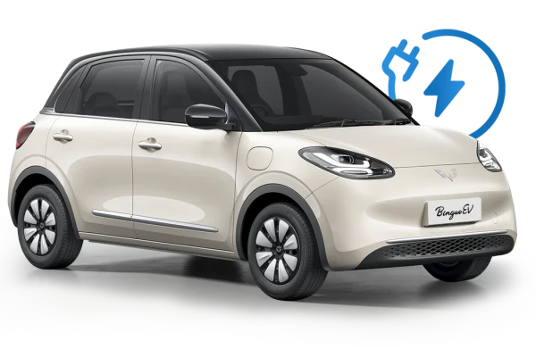 Wuling Binguo EV